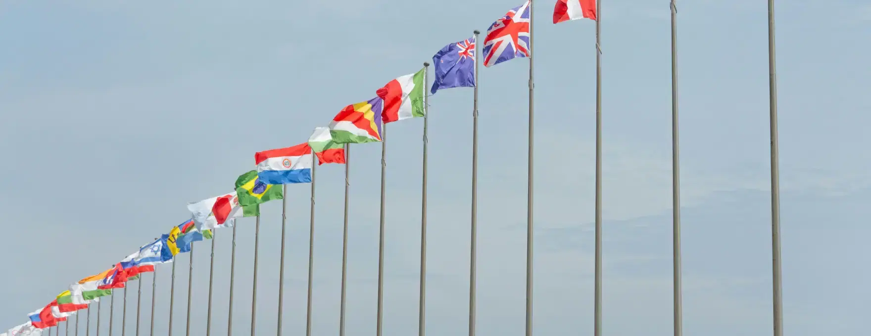 Government & Public Sector