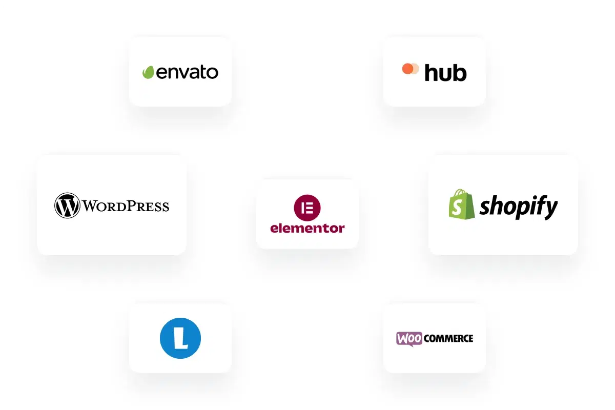 Illustration for Shopify & WordPress Solutions